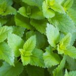 父の入院、一回目の主治医のはなし